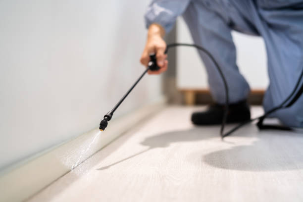 Licensed Rodent Control service in Saint John Fisher College, NY - Nex Pest Control