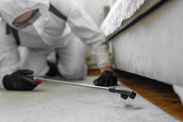 Professional Rodent Control technician working in Saint John Fisher College, NY