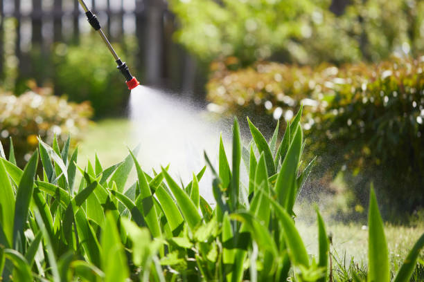 24/7 Emergency Rodent Control experts in Saint John Fisher College, NY