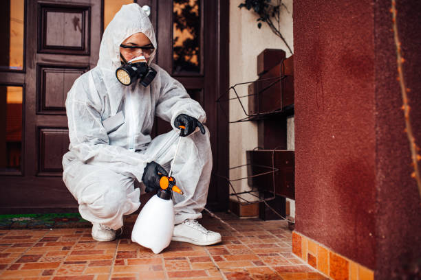 Reliable Rodent Control contractor in Saint John Fisher College, NY by Nex Pest Control