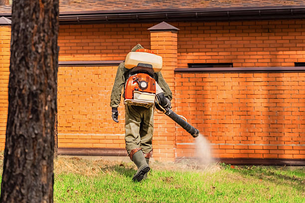 Trusted Cockroach Control service in Saint John Fisher College, NY - Nex Pest Control